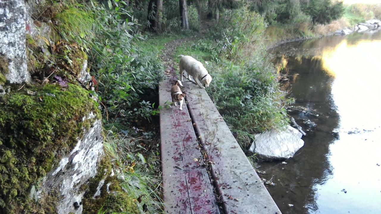 Gite Le Courtil Bouillon Dış mekan fotoğraf